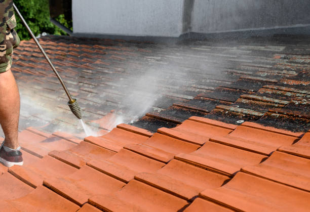 Best Affordable Power Washing  in Owingsville, KY