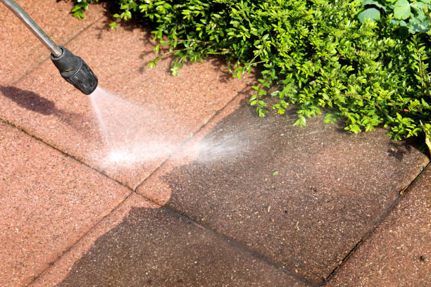 Best Best Pressure Washing Companies  in Owingsville, KY